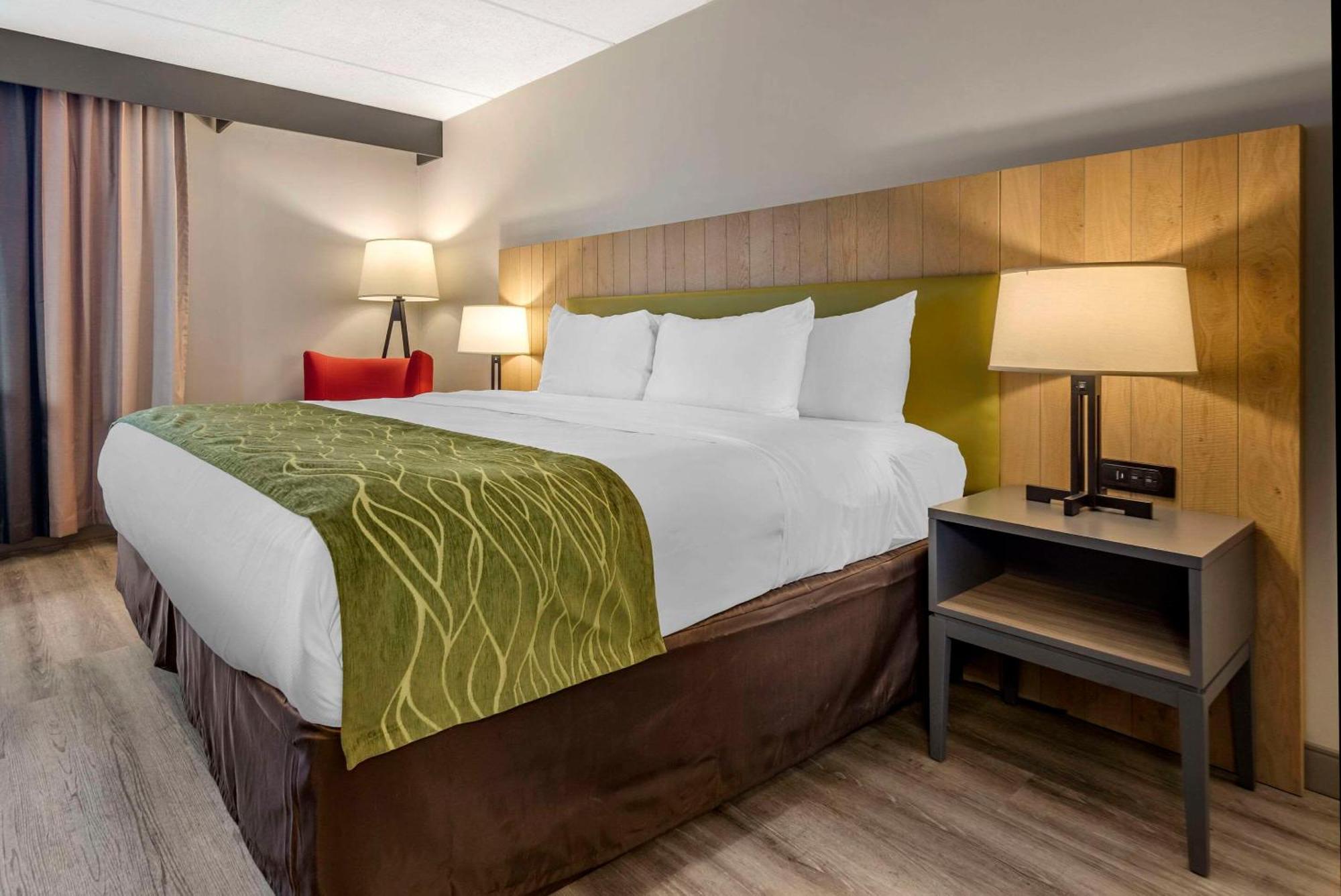 Comfort Inn & Suites Liverpool - Syracuse North Esterno foto